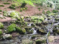 2026-08-013 Allenamento PNALM 050